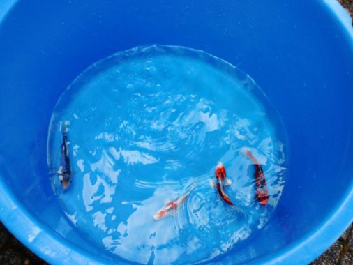 Saisoneröffnung 2013