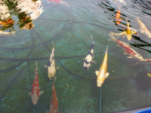 Saisoneröffnung 2013