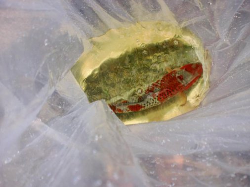 Saisoneröffnung 2013