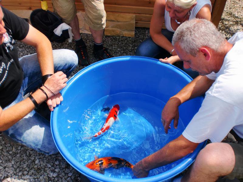 Jubiläums Teichfest 2014