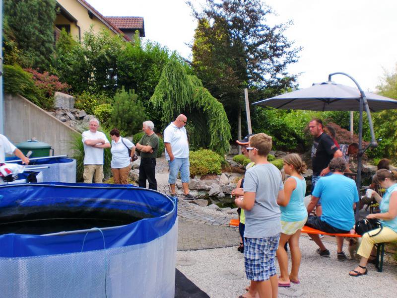 Jubiläums Teichfest 2014